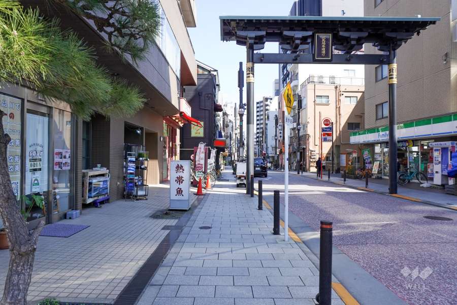 敷地南側の前面道路