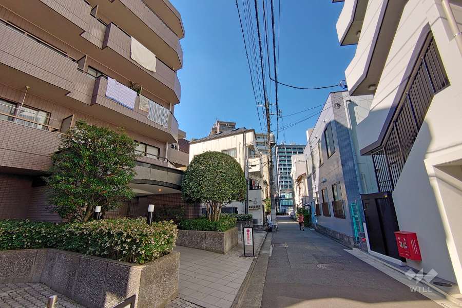 敷地の北東側の前面道路（南東側から）