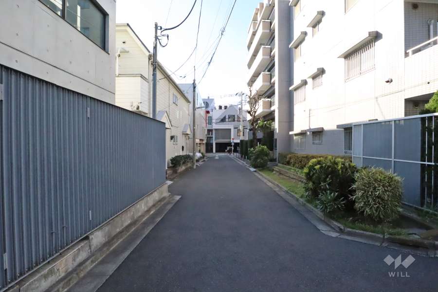 敷地南側の前面道路