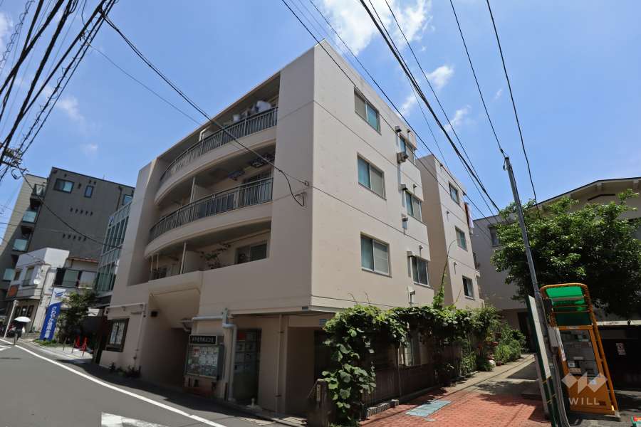 ワールドパレス戸越の外観(南西側から)