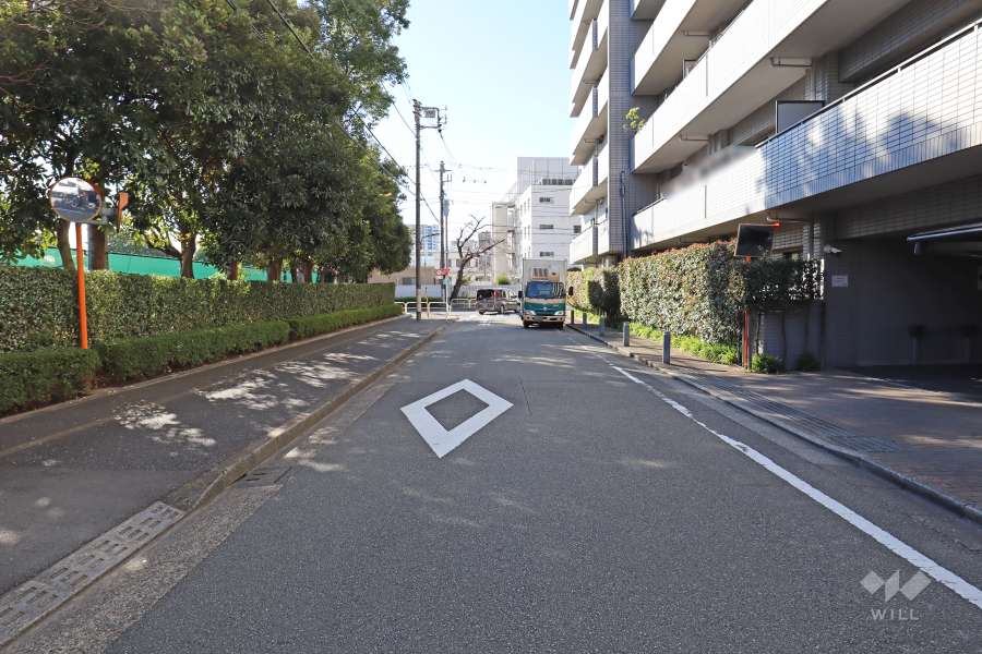 敷地東側の前面道路