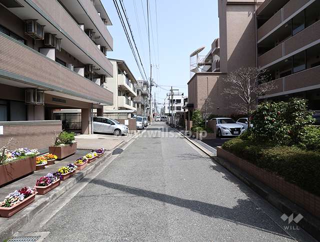 敷地北側の前面道路（西側から）
