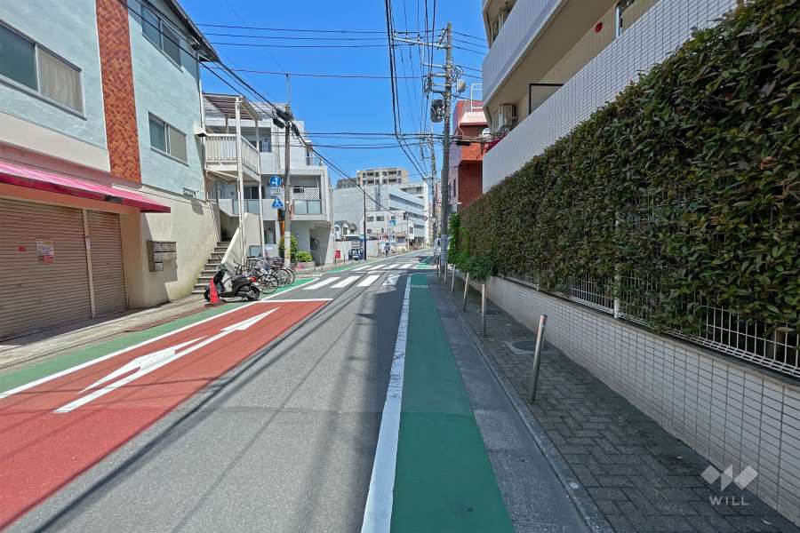 敷地西側の前面道路（南側から）