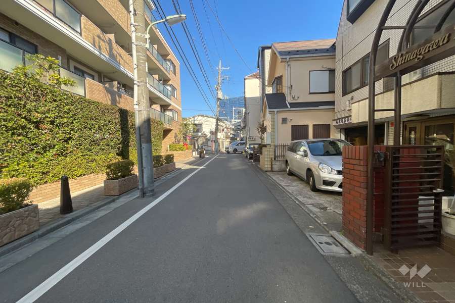 敷地南東側の前面道路（南西側から）