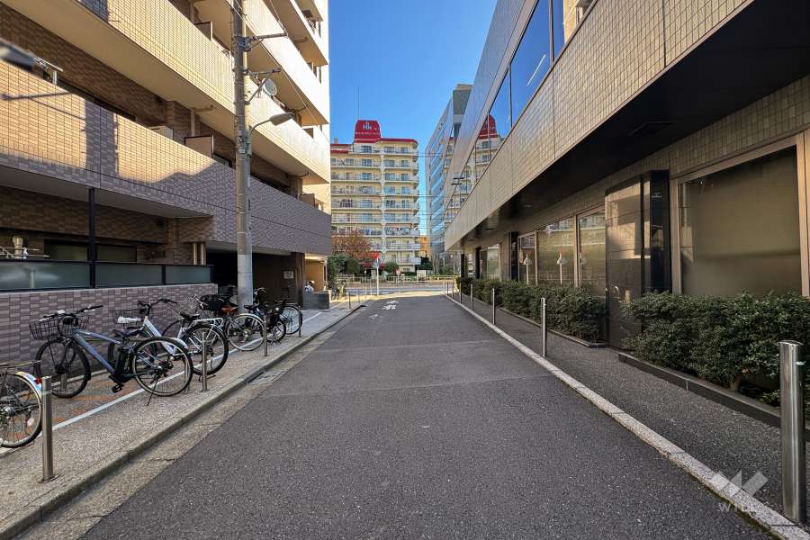 敷地南西側の前面道路（北西側から）