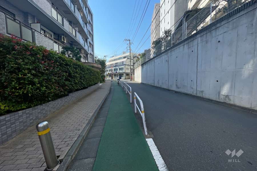 敷地西側の前面道路（北側から）