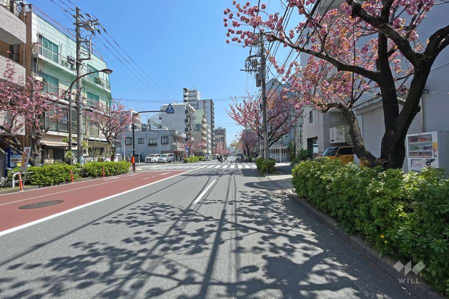 敷地北側の前面道路（西側から）
