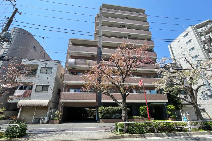 エクセルダイア大森の外観（南東側から）