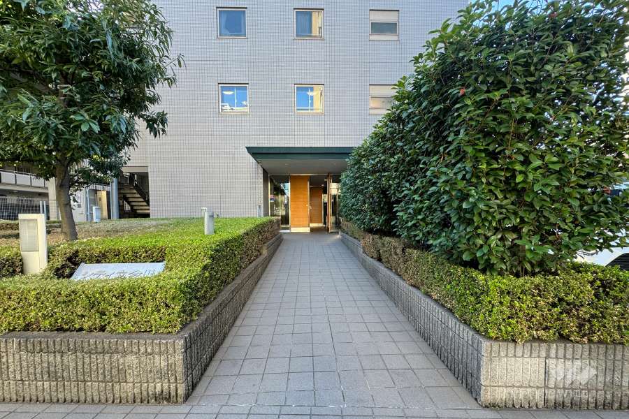 エントランスアプローチ