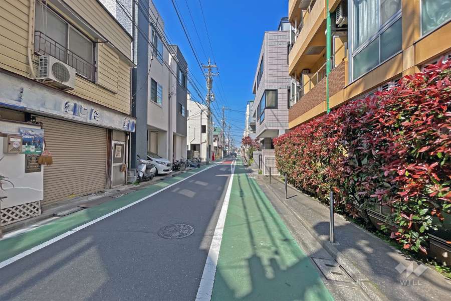 敷地西側の前面道路（南側から）