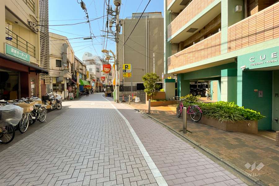敷地の西側前面道路（南側から）