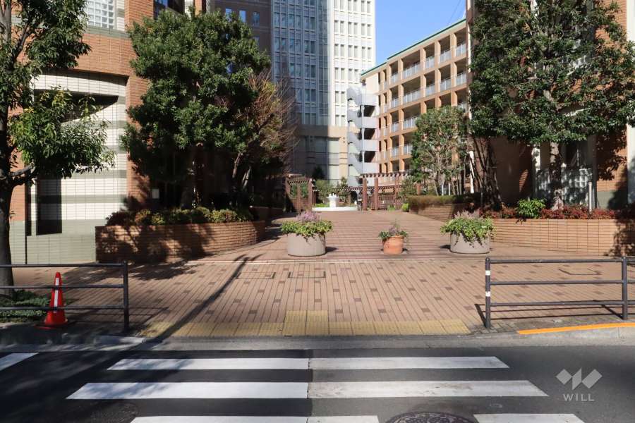 敷地東側の前面通路(南側から)