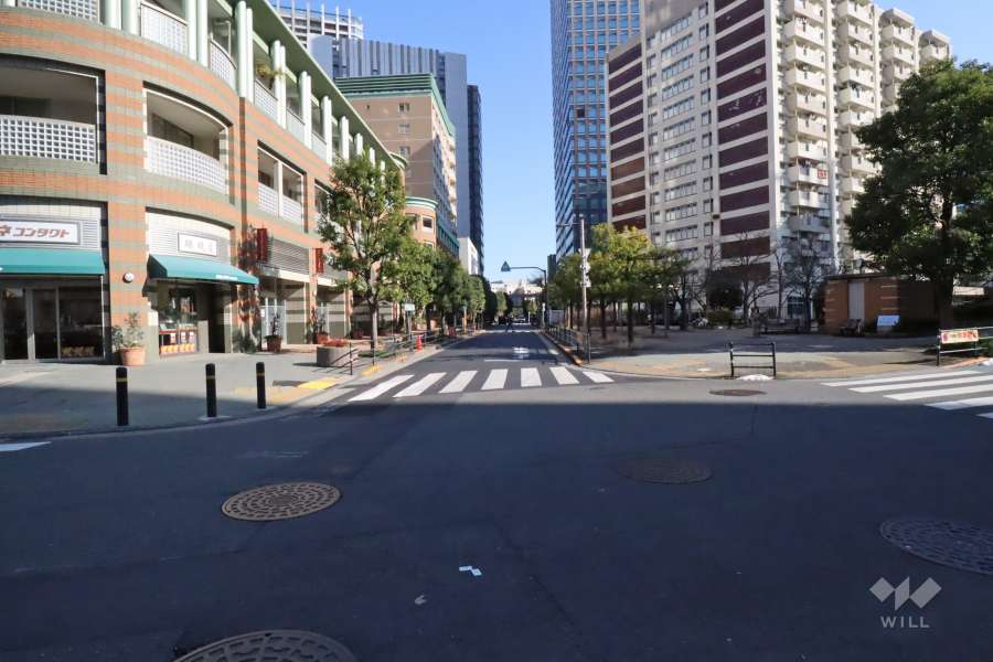 敷地南側の前面道路(西側から)