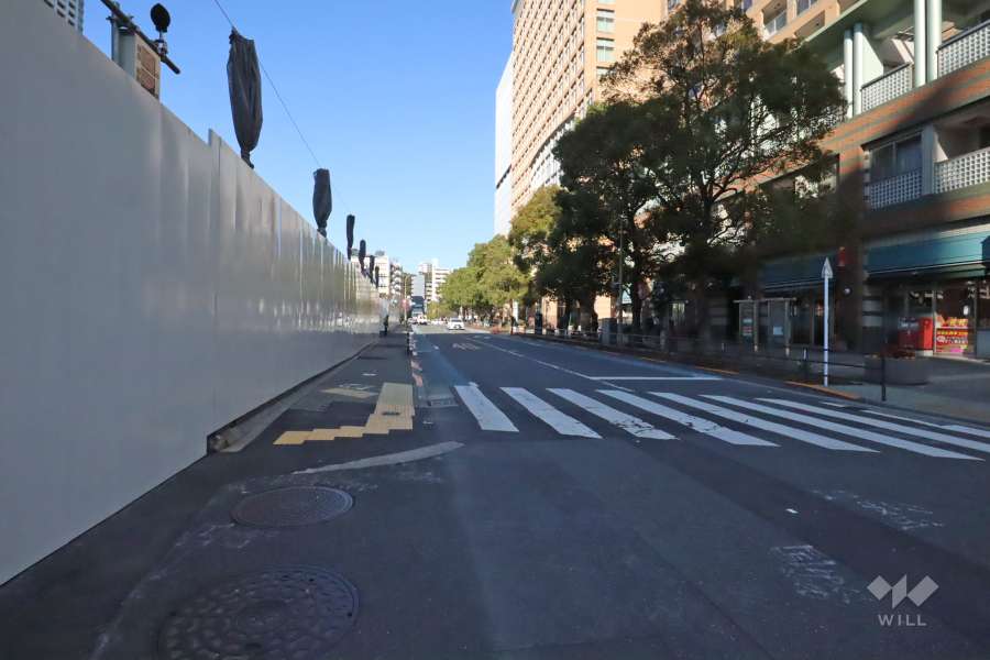 敷地西側の前面道路(南側から)