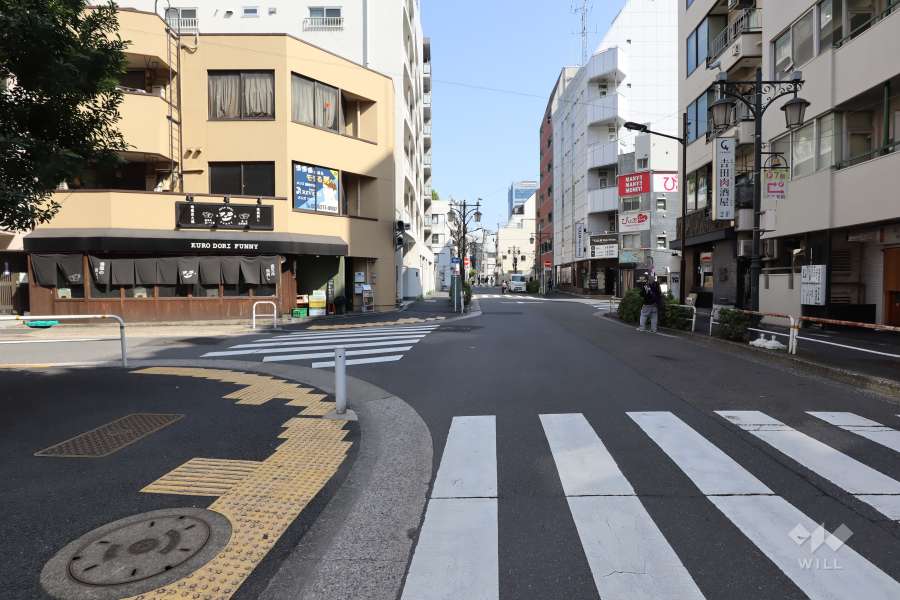 敷地南側の前面道路（西側から）