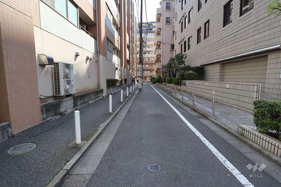 敷地西側の前面道路（北側から）