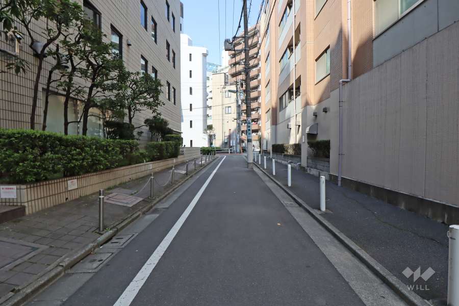 敷地の西側の前面道路（南側から）