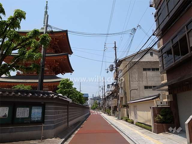 敷地南側の前面道路。道を挟んで本興寺があります。