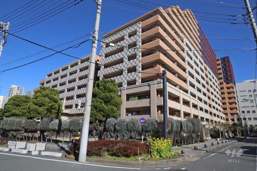 東京ナイルの外観(南西側から)