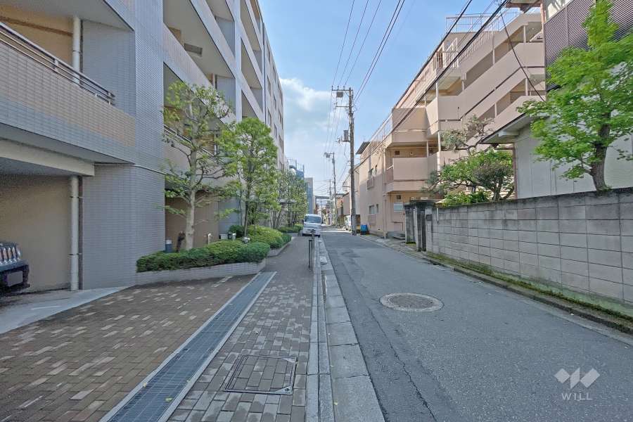 敷地西側の前面道路（北側から）