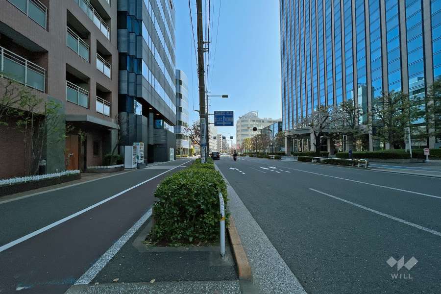 敷地西側の前面道路（桜新道）