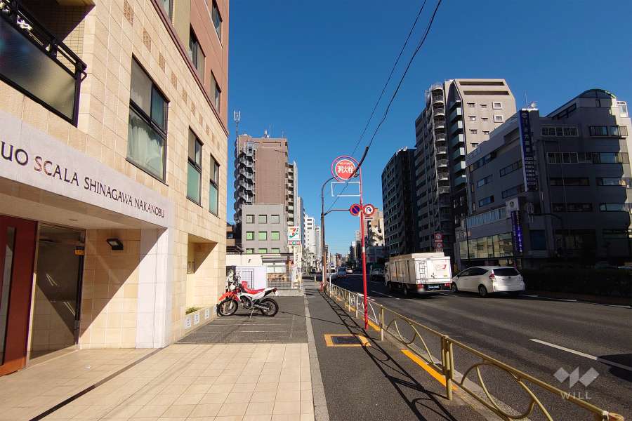 敷地東側の前面道路