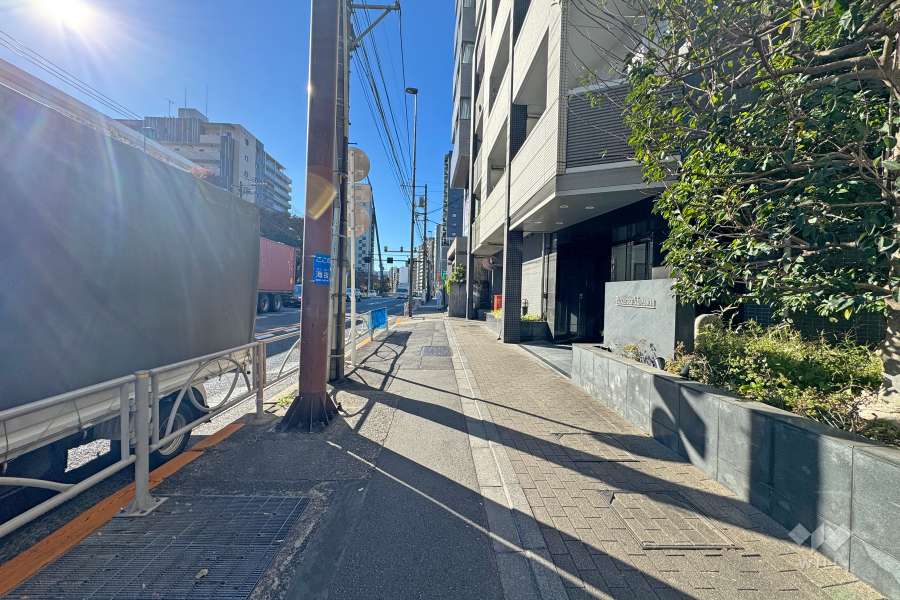 敷地東側の前面道路（北側から）