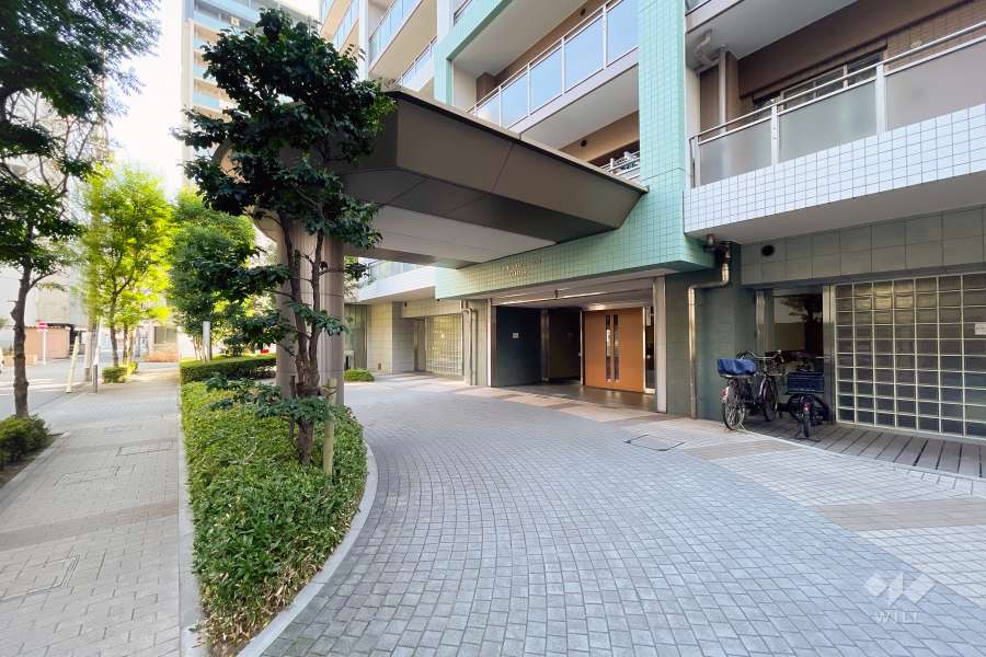 エントランスアプローチ