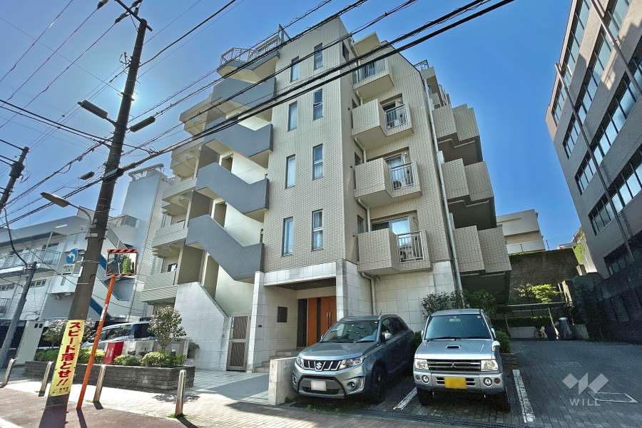 「ミオカステーロ大井ゼームス坂」の外観（西側から）