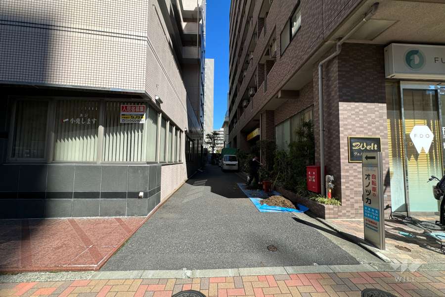 敷地の西側前面道路（南側から）