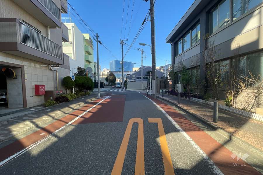 敷地の西側前面道路（南側から）