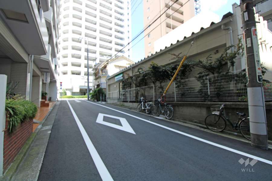 敷地北西側の前面道路（北東側から）