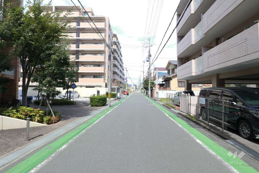 敷地東側の前面道路(北側から)
