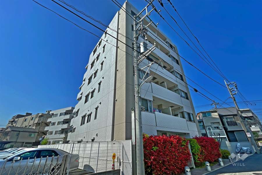 プラーティノ南大井の外観（南西側から）