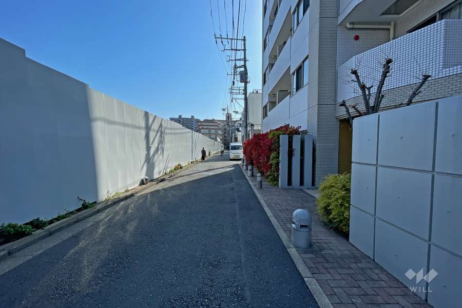 敷地東側の前面道路（南側から）