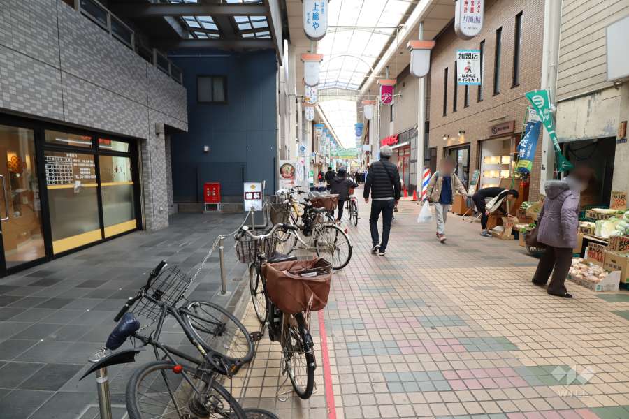 敷地西側の前面道路（北側から）