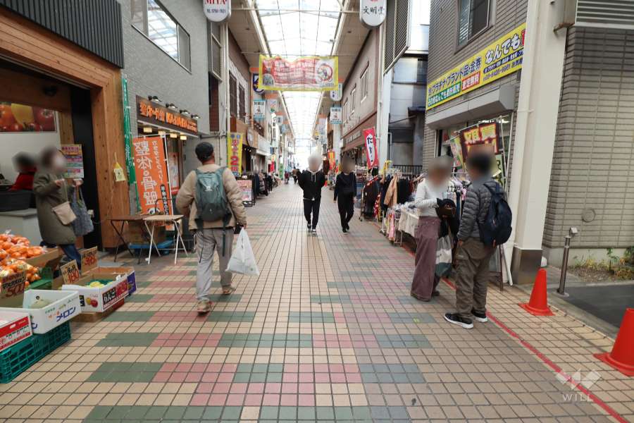 敷地西側の前面道路（南側から）