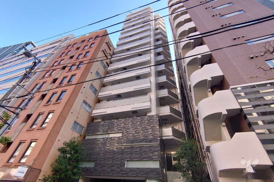 リシェ五反田スカイビューの外観（南西側から）