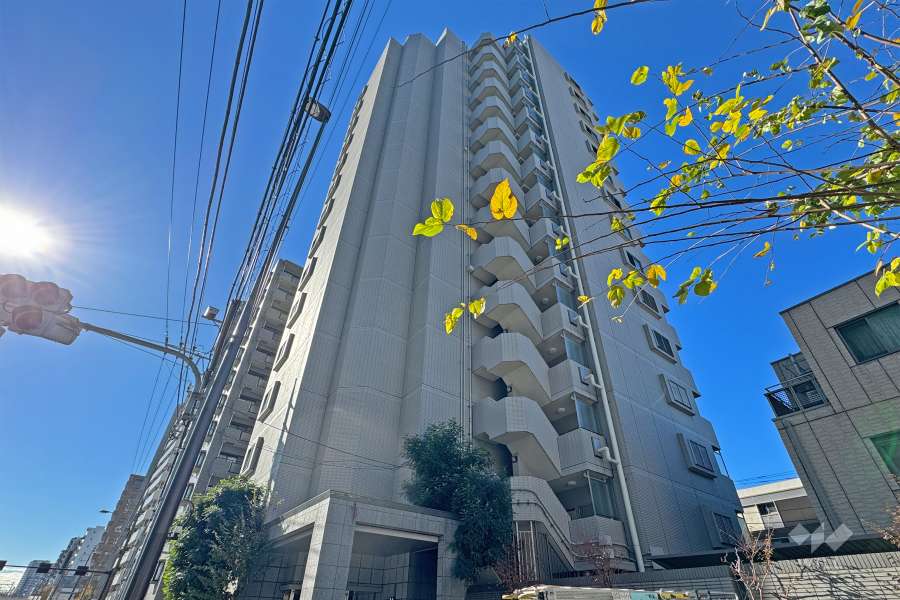 ブライズ品川南ルリオンの外観（北東側から）