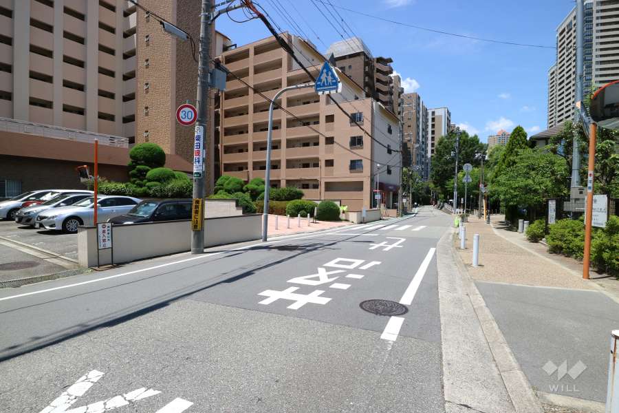 敷地北側の前面道路。花のみちに続く道です。