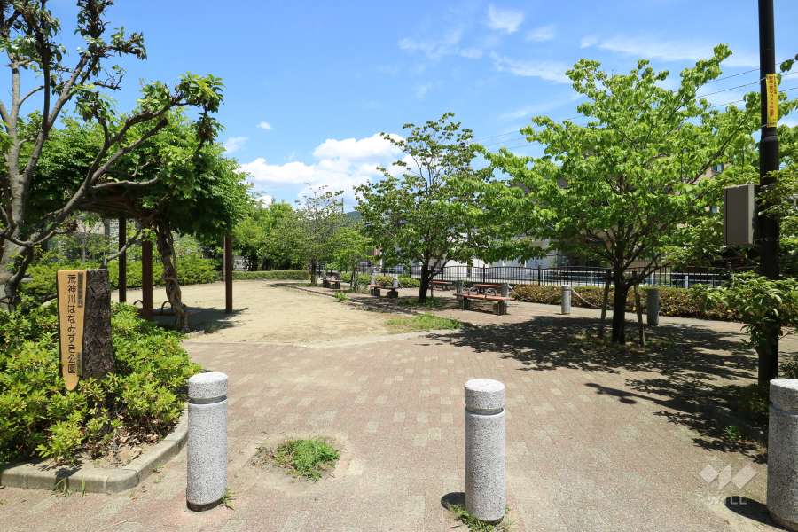 『荒神川はなみずき公園』