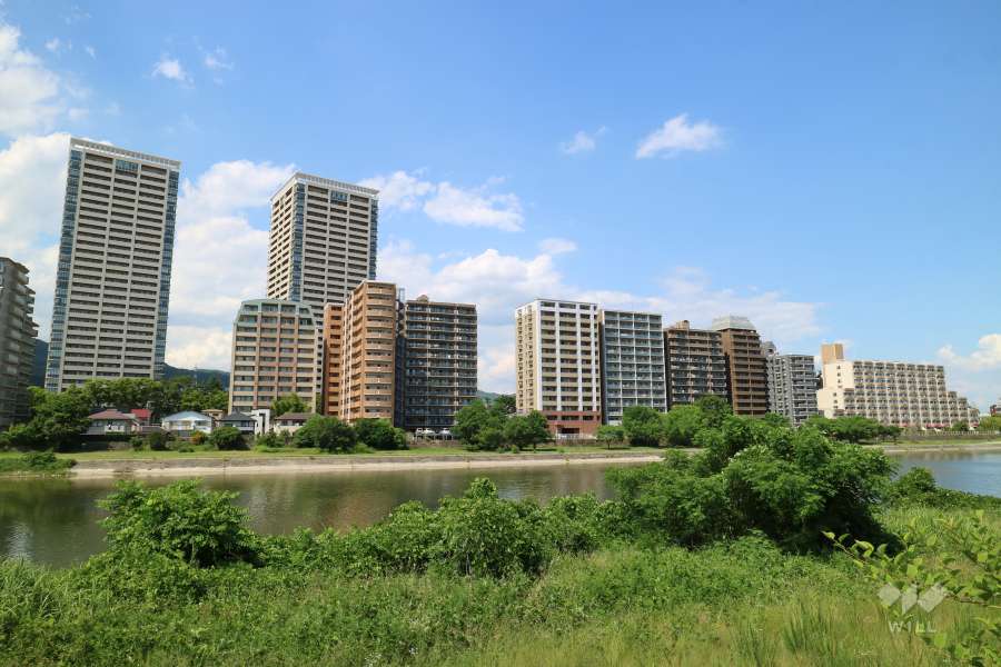 コープ野村宝塚の遠景
