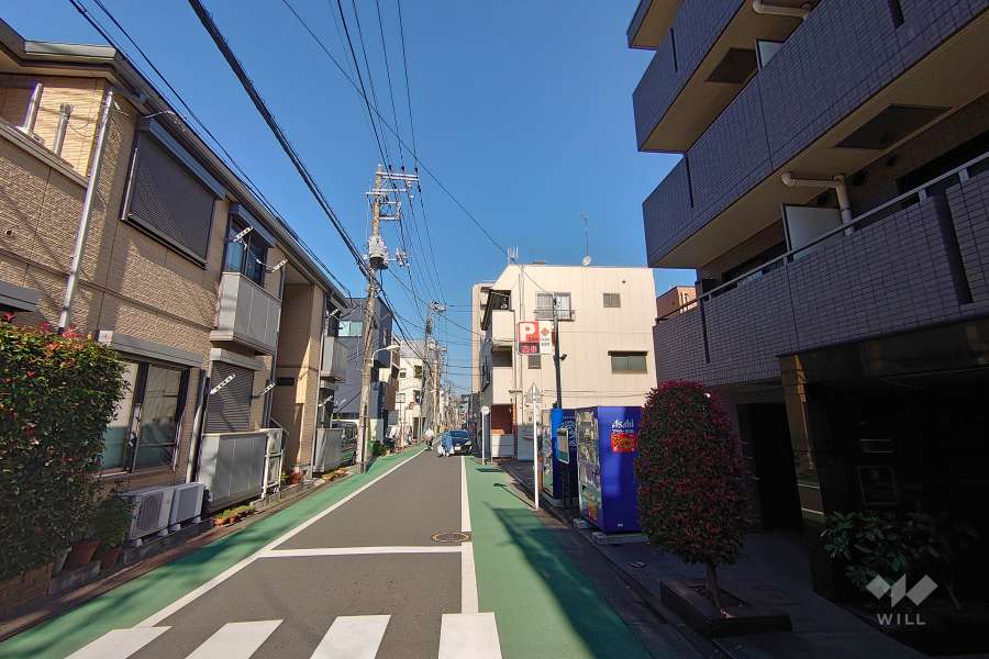 敷地の西側前面道路（南側から）