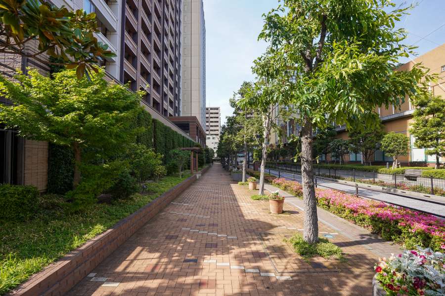 敷地東側の前面道路（南側から）