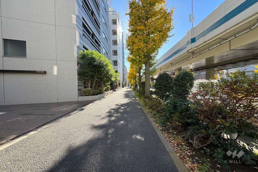 敷地西側の前面道路