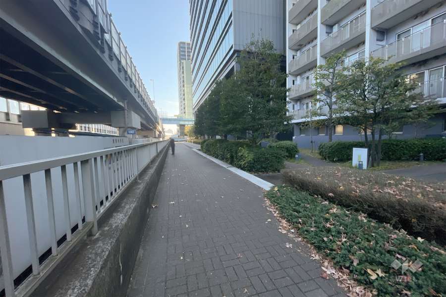 敷地東側の前面道路（北側から）