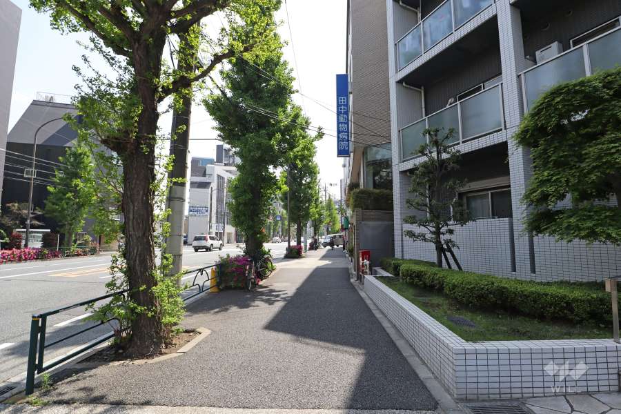 敷地南東側の前面道路(北東側から)