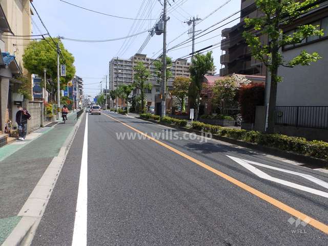 敷地北側の前面道路。歩道、街路樹がある通りです。