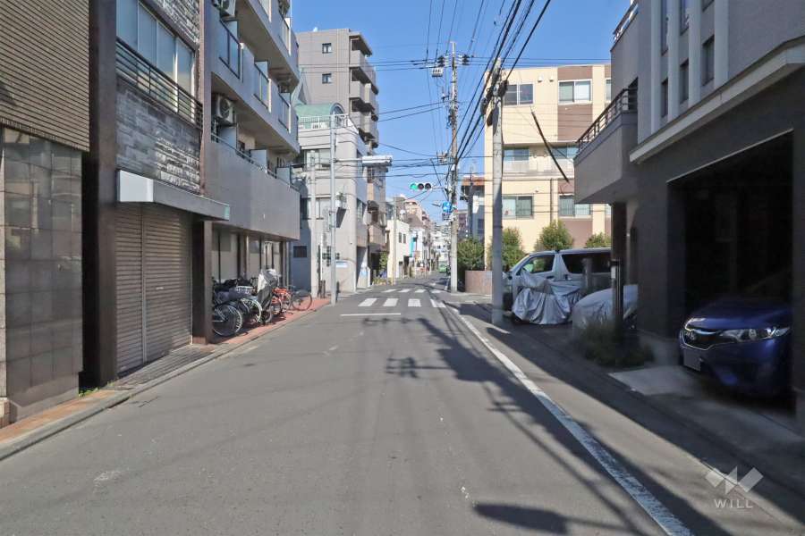 敷地東側の前面道路は仲通りです(北側から)。