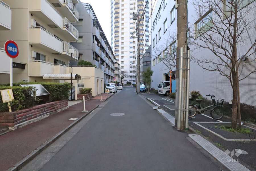 敷地西側の前面道路(北側から)